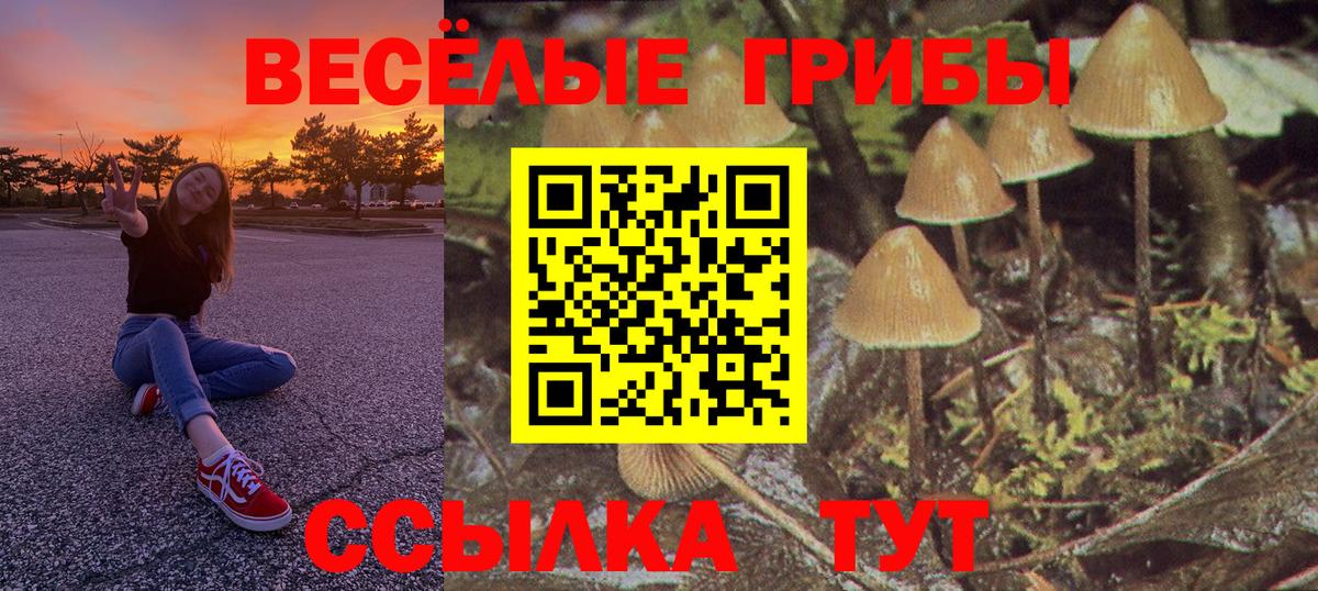 Еманжелинск  Галлюциногенные грибы Cubensis  Вход с VPN 